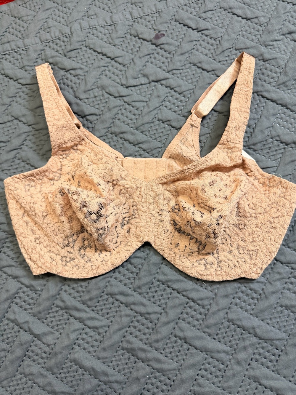 Wacoal Lace Underwire Bra in Nude Beige